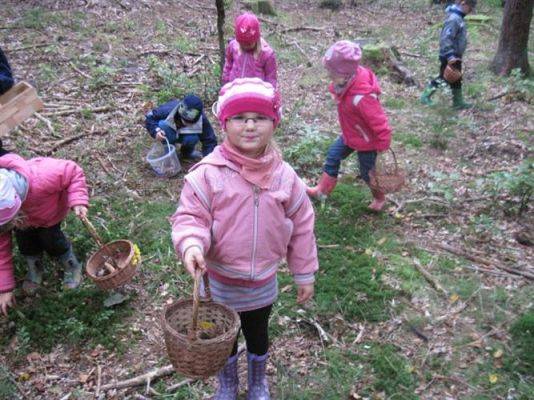 Grafika #12: 29.09.2011 - Wycieczka do lasu - Zbieramy jesienne dary