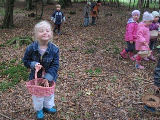 Grafika #13: 29.09.2011 - Wycieczka do lasu - Zbieramy jesienne dary