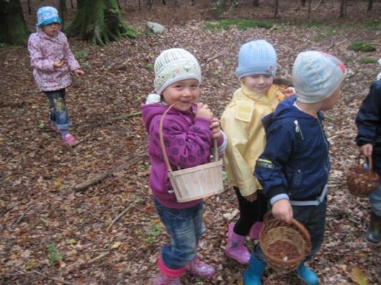 Grafika #14: 29.09.2011 - Wycieczka do lasu - Zbieramy jesienne dary