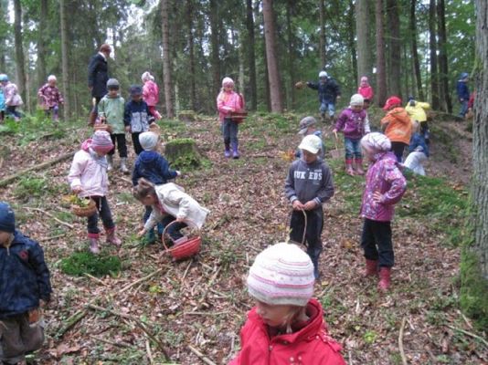 Grafika #16: 29.09.2011 - Wycieczka do lasu - Zbieramy jesienne dary