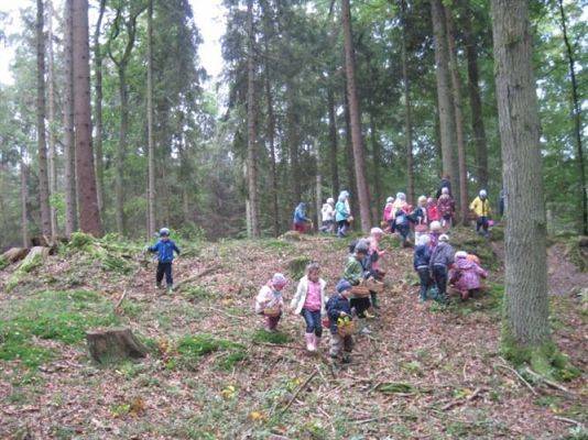 Grafika #17: 29.09.2011 - Wycieczka do lasu - Zbieramy jesienne dary