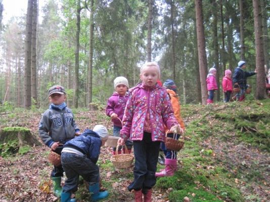 Grafika #19: 29.09.2011 - Wycieczka do lasu - Zbieramy jesienne dary