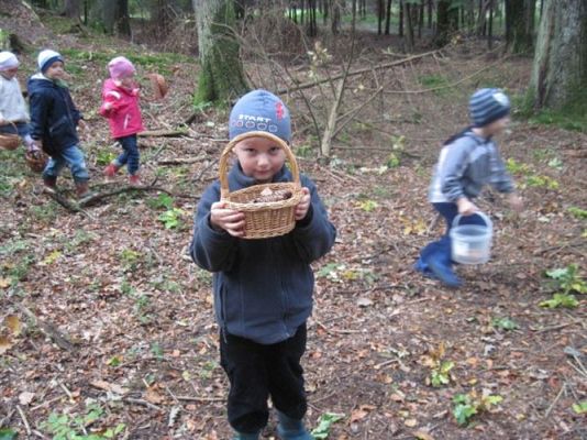 Grafika #21: 29.09.2011 - Wycieczka do lasu - Zbieramy jesienne dary