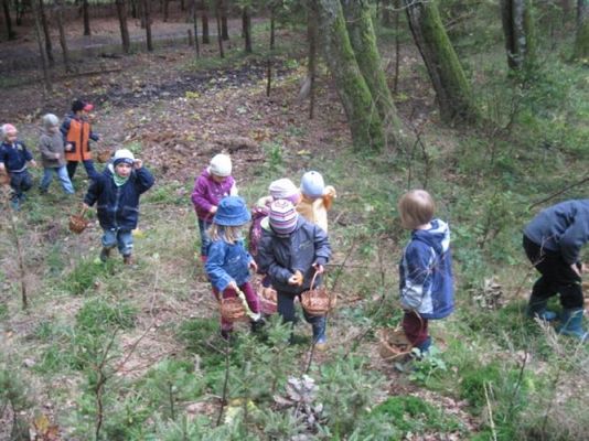 Grafika #23: 29.09.2011 - Wycieczka do lasu - Zbieramy jesienne dary