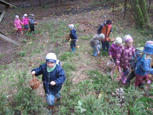 Grafika #24: 29.09.2011 - Wycieczka do lasu - Zbieramy jesienne dary