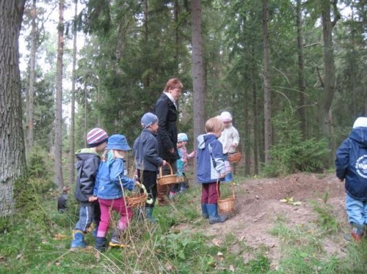 Grafika #25: 29.09.2011 - Wycieczka do lasu - Zbieramy jesienne dary