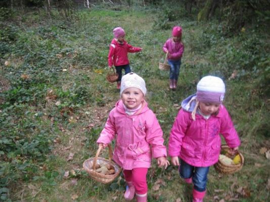 Grafika #26: 29.09.2011 - Wycieczka do lasu - Zbieramy jesienne dary