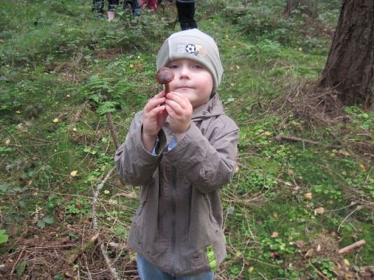 Grafika #27: 29.09.2011 - Wycieczka do lasu - Zbieramy jesienne dary