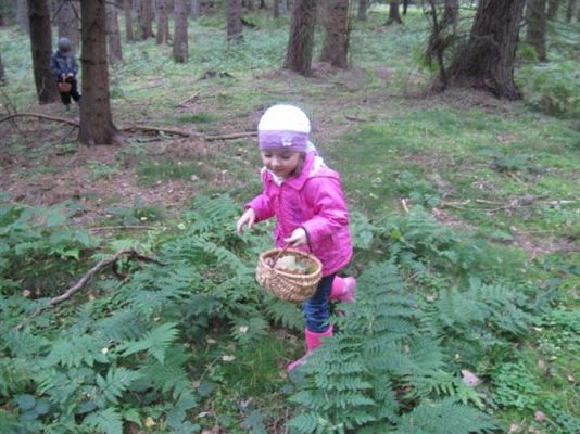 Grafika #29: 29.09.2011 - Wycieczka do lasu - Zbieramy jesienne dary