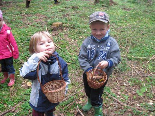 Grafika #31: 29.09.2011 - Wycieczka do lasu - Zbieramy jesienne dary