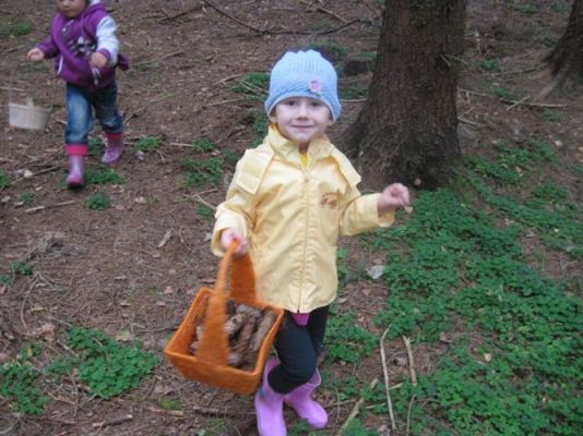 Grafika #32: 29.09.2011 - Wycieczka do lasu - Zbieramy jesienne dary