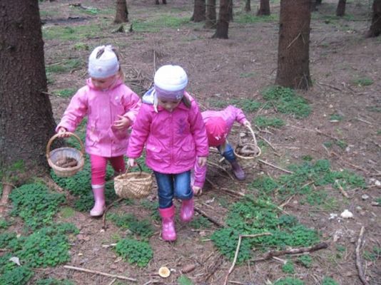 Grafika #34: 29.09.2011 - Wycieczka do lasu - Zbieramy jesienne dary