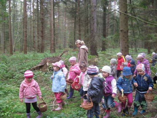 Grafika #35: 29.09.2011 - Wycieczka do lasu - Zbieramy jesienne dary