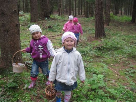 Grafika #36: 29.09.2011 - Wycieczka do lasu - Zbieramy jesienne dary