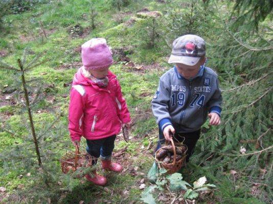 Grafika #37: 29.09.2011 - Wycieczka do lasu - Zbieramy jesienne dary