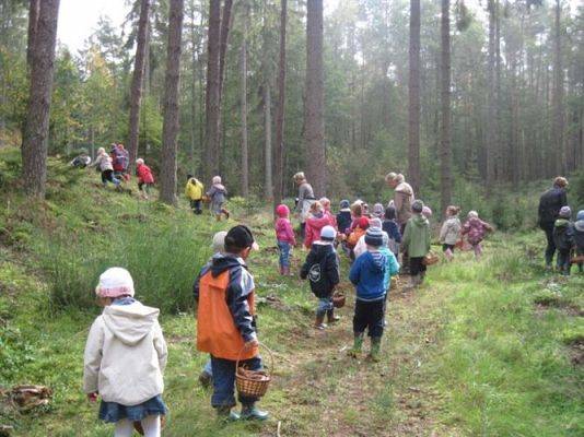 Grafika #38: 29.09.2011 - Wycieczka do lasu - Zbieramy jesienne dary