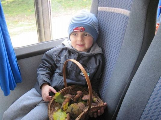 Grafika #40: 29.09.2011 - Wycieczka do lasu - Zbieramy jesienne dary