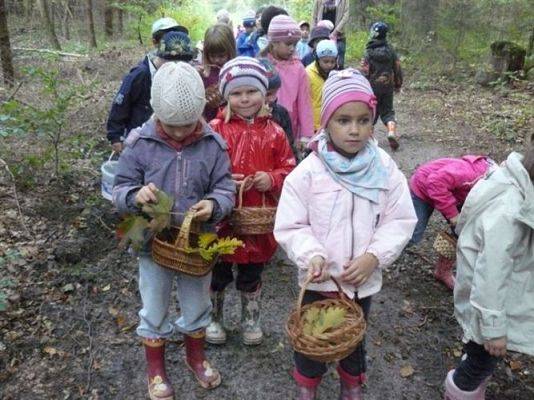 Grafika #47: 29.09.2011 - Wycieczka do lasu - Zbieramy jesienne dary