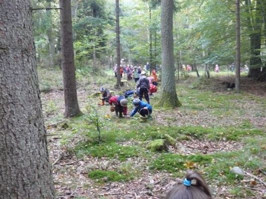 Grafika #49: 29.09.2011 - Wycieczka do lasu - Zbieramy jesienne dary