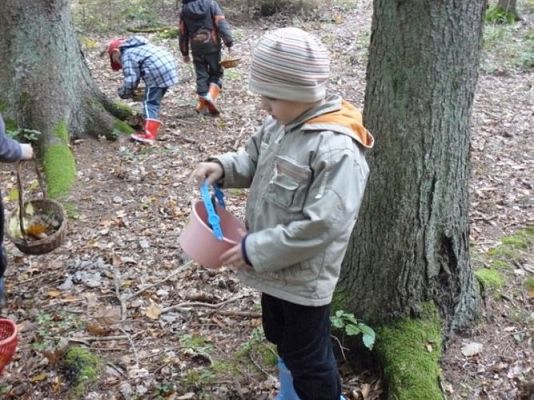 Grafika #54: 29.09.2011 - Wycieczka do lasu - Zbieramy jesienne dary