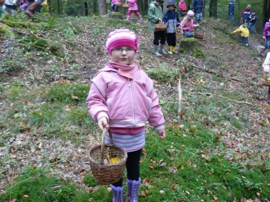 Grafika #57: 29.09.2011 - Wycieczka do lasu - Zbieramy jesienne dary