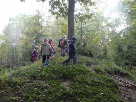 Grafika #59: 29.09.2011 - Wycieczka do lasu - Zbieramy jesienne dary