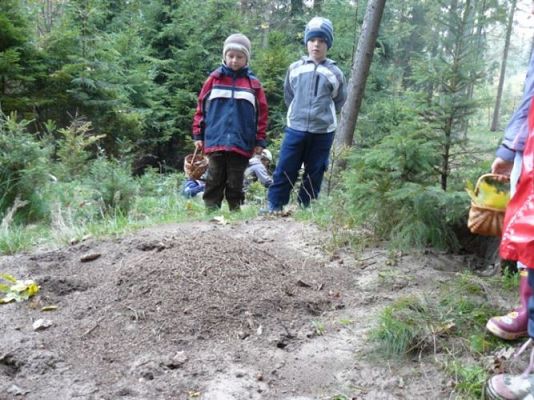 Grafika #60: 29.09.2011 - Wycieczka do lasu - Zbieramy jesienne dary