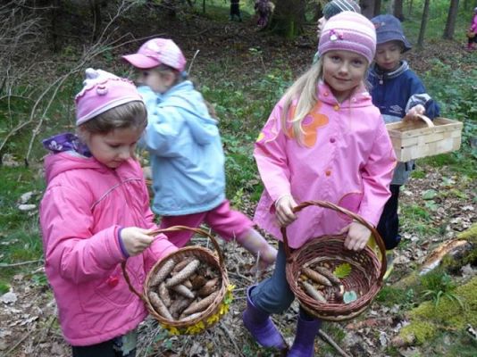 Grafika #62: 29.09.2011 - Wycieczka do lasu - Zbieramy jesienne dary