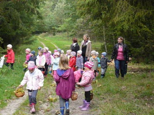 Grafika #64: 29.09.2011 - Wycieczka do lasu - Zbieramy jesienne dary