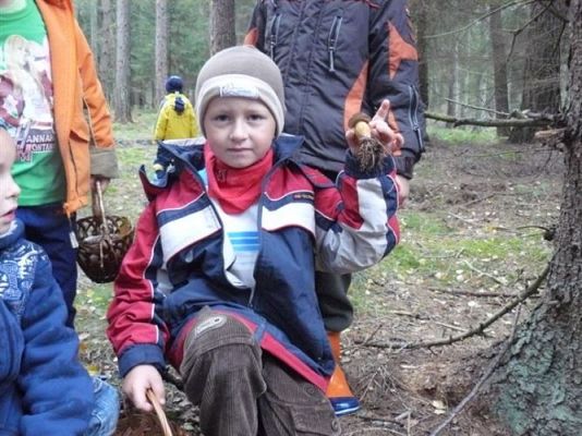 Grafika #65: 29.09.2011 - Wycieczka do lasu - Zbieramy jesienne dary