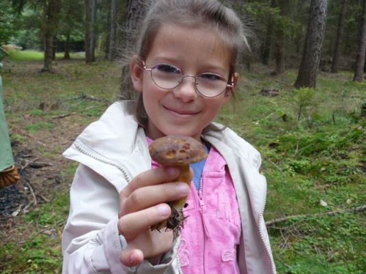 Grafika #68: 29.09.2011 - Wycieczka do lasu - Zbieramy jesienne dary