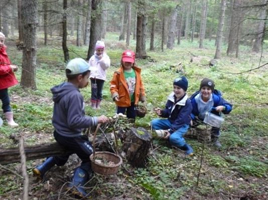 Grafika #72: 29.09.2011 - Wycieczka do lasu - Zbieramy jesienne dary