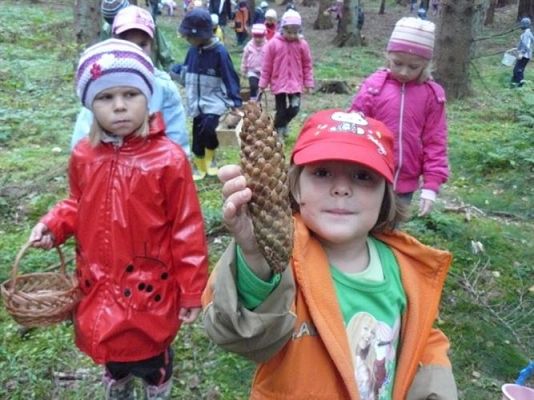 Grafika #74: 29.09.2011 - Wycieczka do lasu - Zbieramy jesienne dary