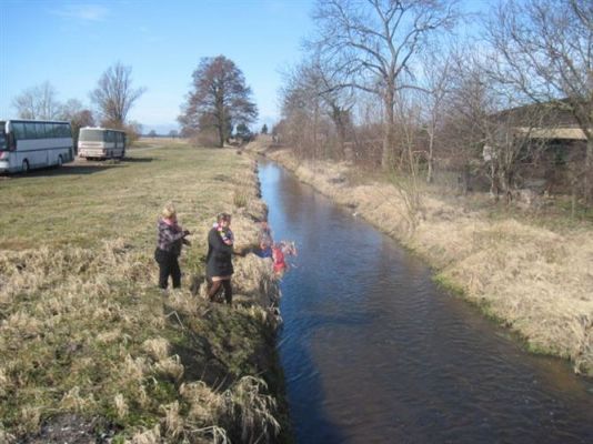 Grafika #21: 21.03.2012 - Żegnamy zimę , witamy wiosnę !