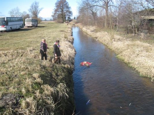 Grafika #22: 21.03.2012 - Żegnamy zimę , witamy wiosnę !