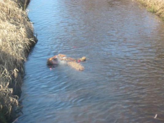 Grafika #23: 21.03.2012 - Żegnamy zimę , witamy wiosnę !