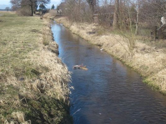 Grafika #24: 21.03.2012 - Żegnamy zimę , witamy wiosnę !