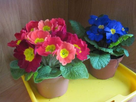 Grafika #1: 20.03.2012 - W oczekiwaniu na wiosnę