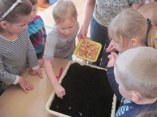 Grafika #12: 20.03.2012 - W oczekiwaniu na wiosnę