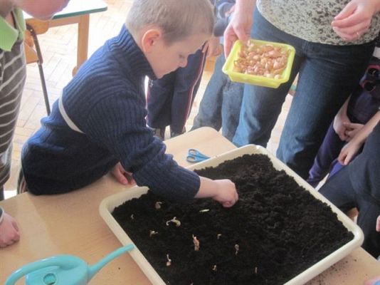 Grafika #16: 20.03.2012 - W oczekiwaniu na wiosnę