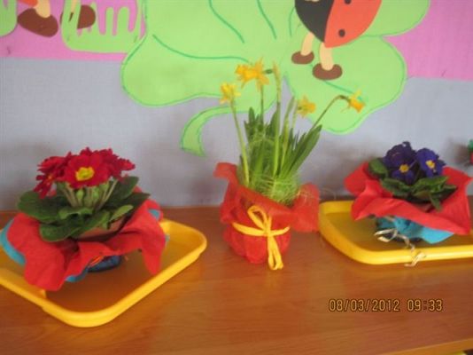 Grafika #1: 08.03.2012 - Dzień Kobiet