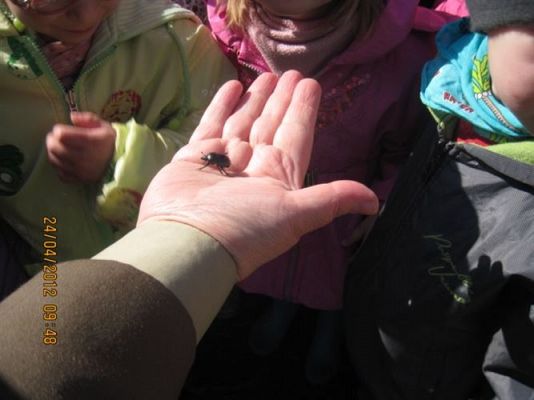 Grafika #4: 24.04.2012 - Wycieczka do leśniczówki w Stęknicy