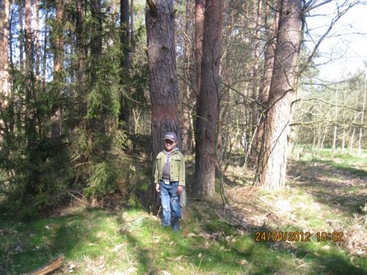 Grafika #17: 24.04.2012 - Wycieczka do leśniczówki w Stęknicy
