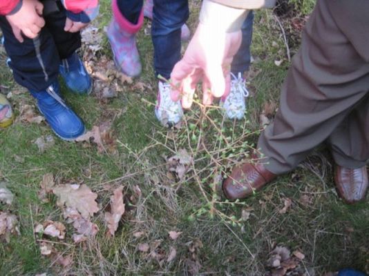 Grafika #18: 24.04.2012 - Wycieczka do leśniczówki w Stęknicy