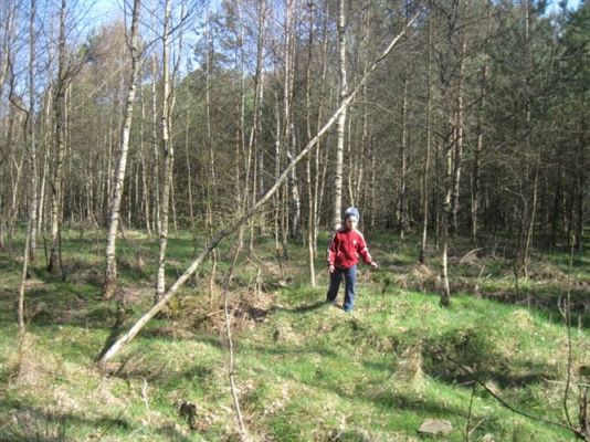 Grafika #22: 24.04.2012 - Wycieczka do leśniczówki w Stęknicy