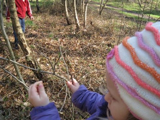 Grafika #23: 24.04.2012 - Wycieczka do leśniczówki w Stęknicy