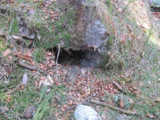 Grafika #29: 24.04.2012 - Wycieczka do leśniczówki w Stęknicy