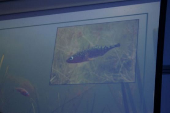 Grafika #24: 04.06.2012 - Wycieczka do Oceanarium w Gdyni cz.II