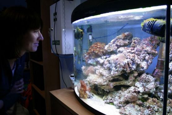 Grafika #36: 04.06.2012 - Wycieczka do Oceanarium w Gdyni cz.II