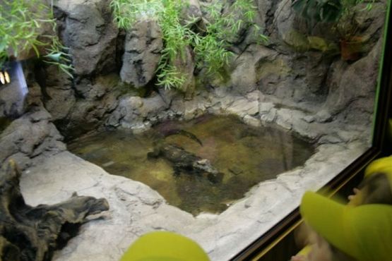 Grafika #57: 04.06.2012 - Wycieczka do Oceanarium w Gdyni cz.II